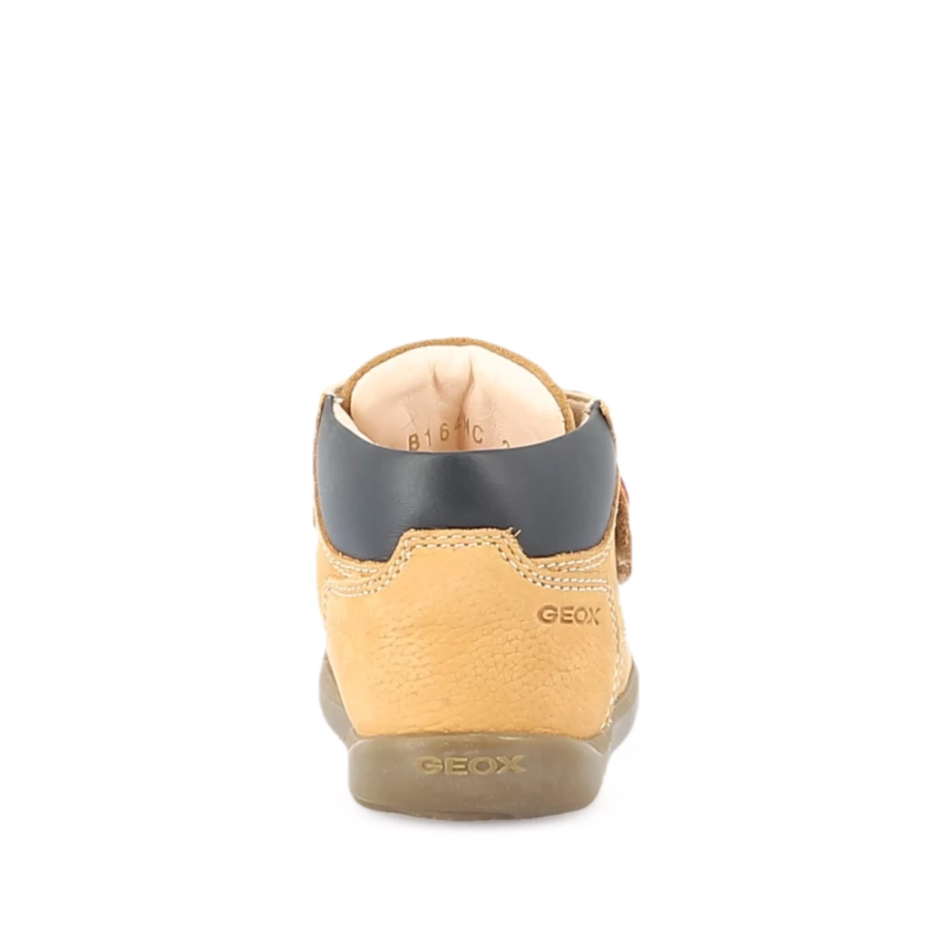 Image (3) de la chaussures Geox - Bottines Cuir naturel / Cognac en Cuir nubuck