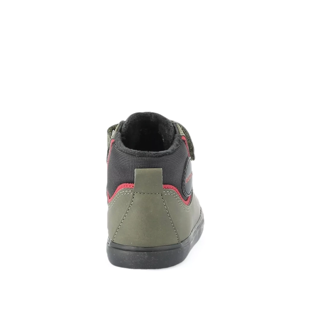 Image (3) de la chaussures Geox - Bottines Vert en Cuir synthétique