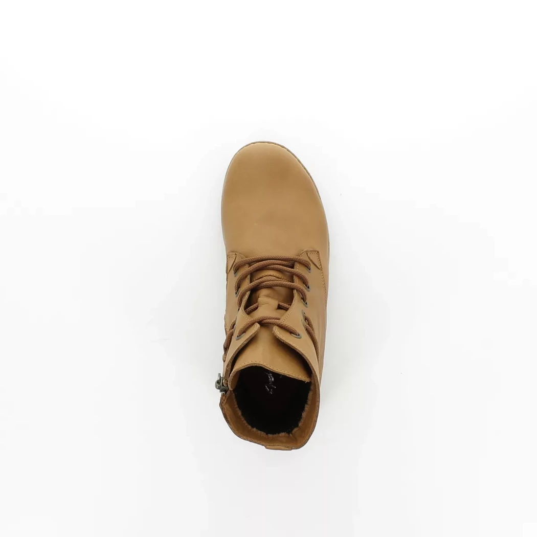 Image (6) de la chaussures Andrea Conti - Bottines Cuir naturel / Cognac en Cuir