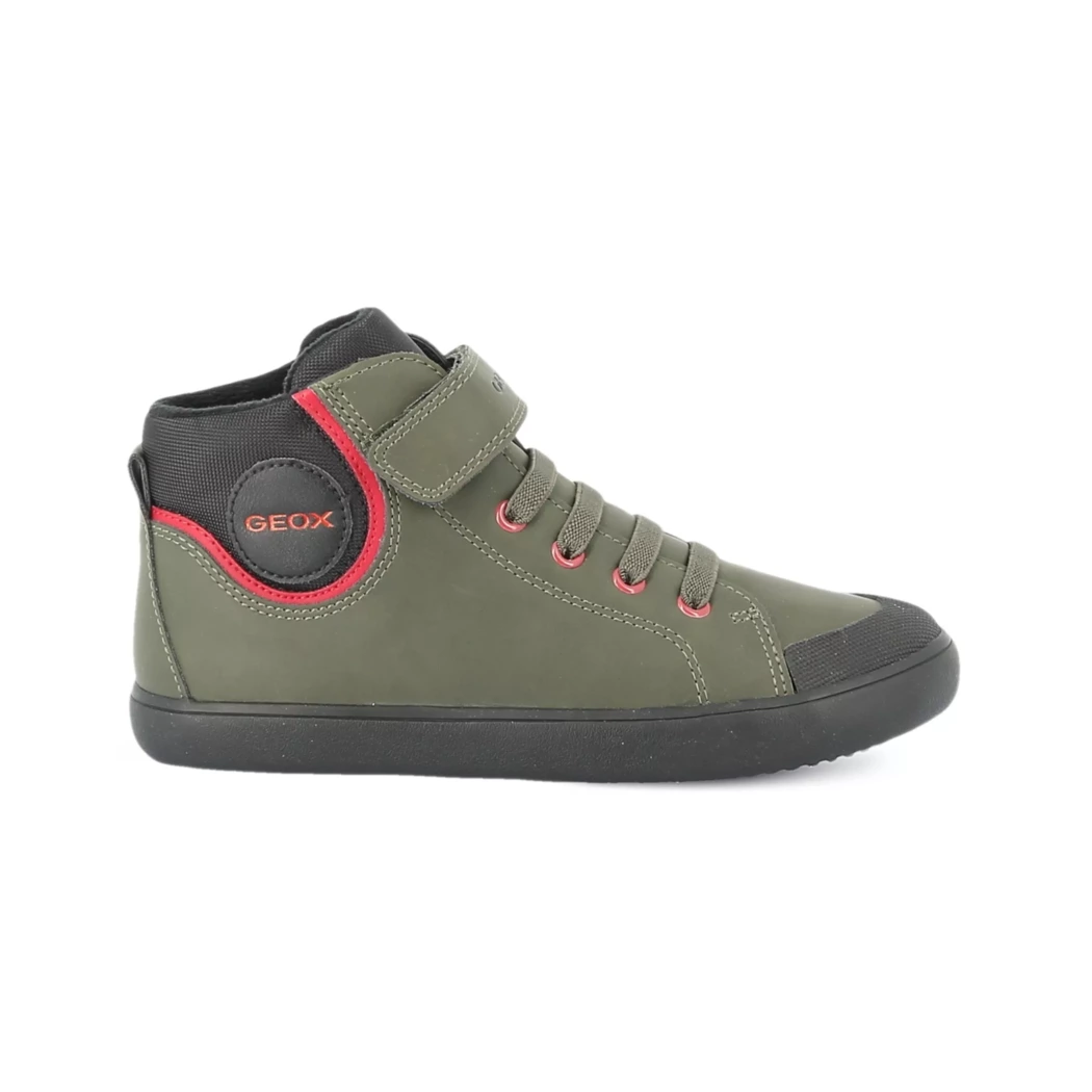 Image (2) de la chaussures Geox - Bottines Vert en Cuir synthétique
