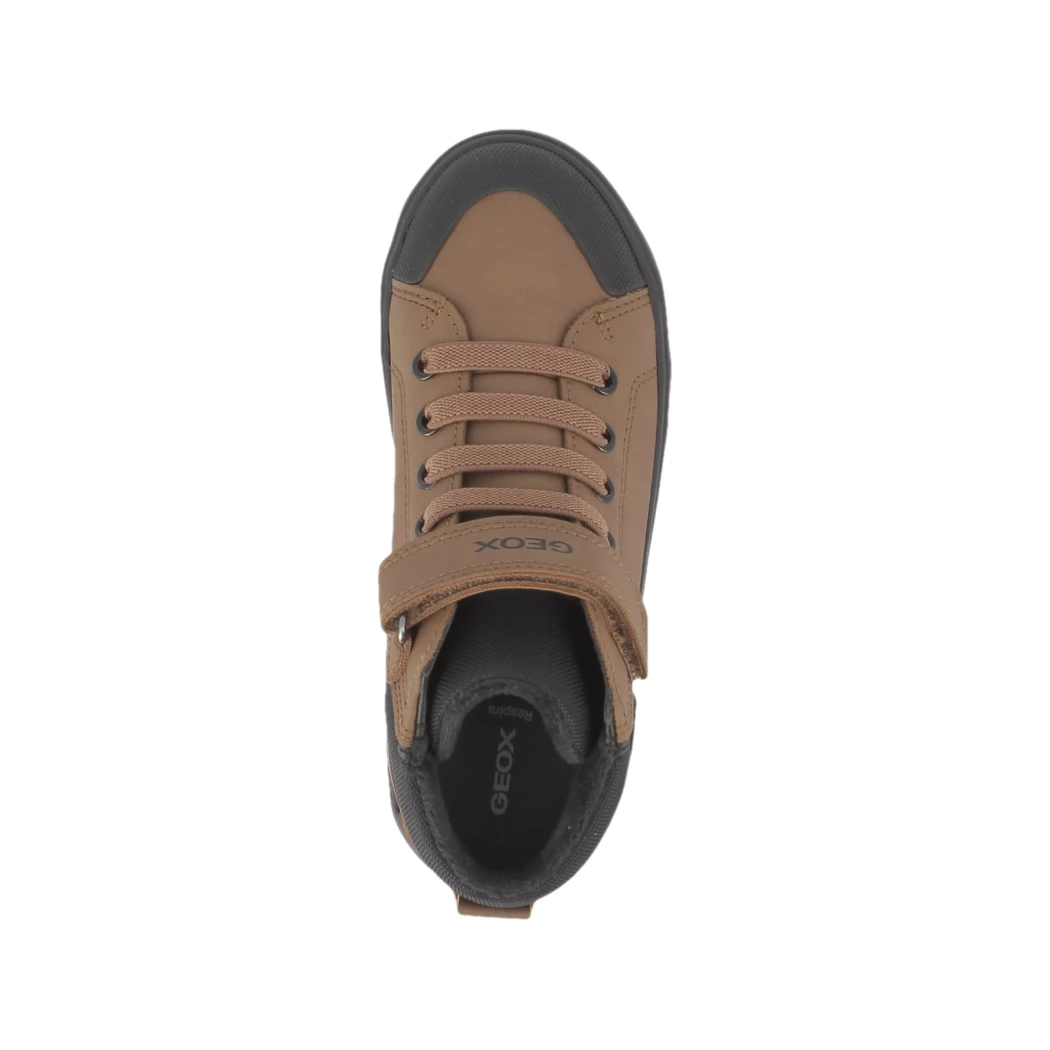 Image (6) de la chaussures Geox - Bottines Cuir naturel / Cognac en Cuir synthétique