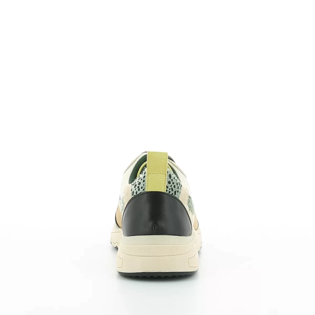 Image (3) de la chaussures Poelman - Baskets Vert en Multi-Matières