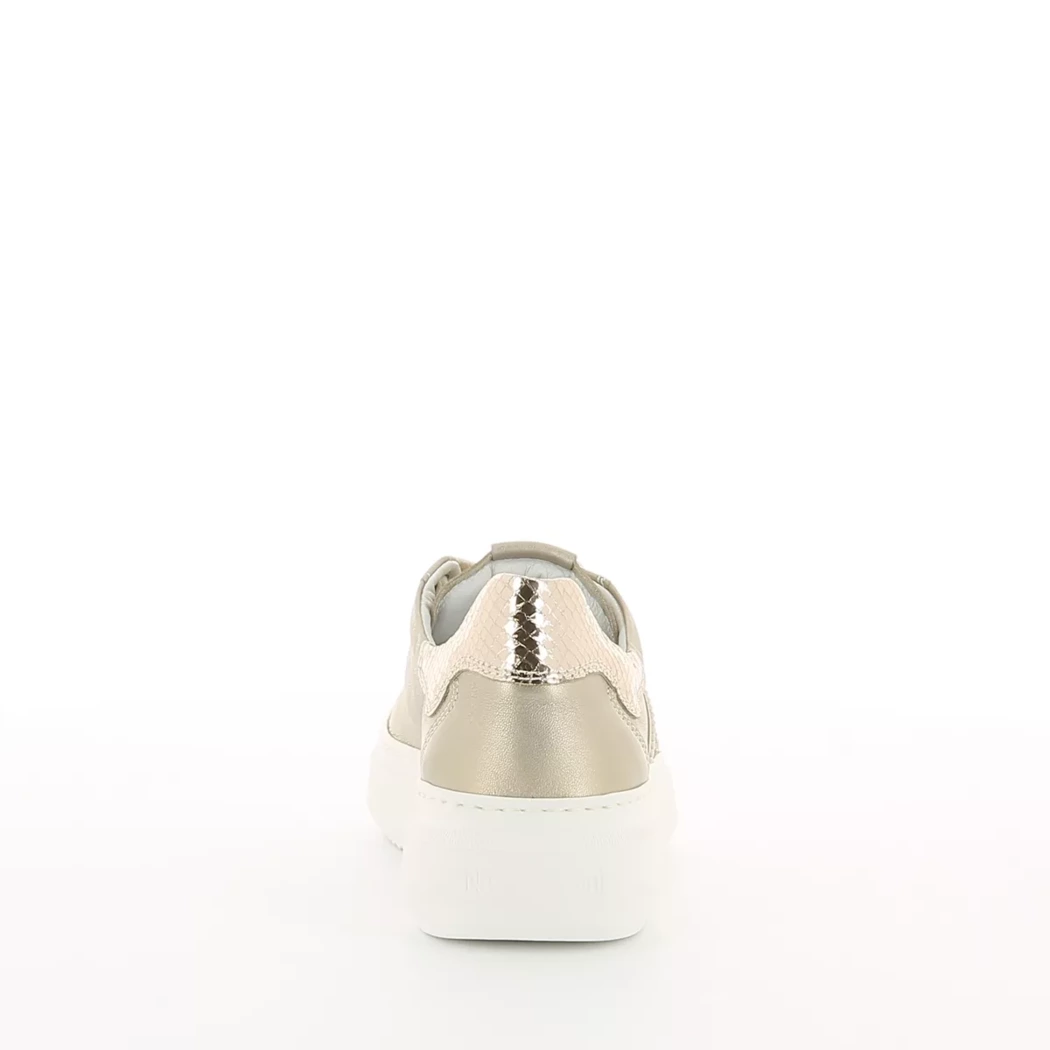 Image (3) de la chaussures Nero Giardini - Baskets Taupe en Cuir