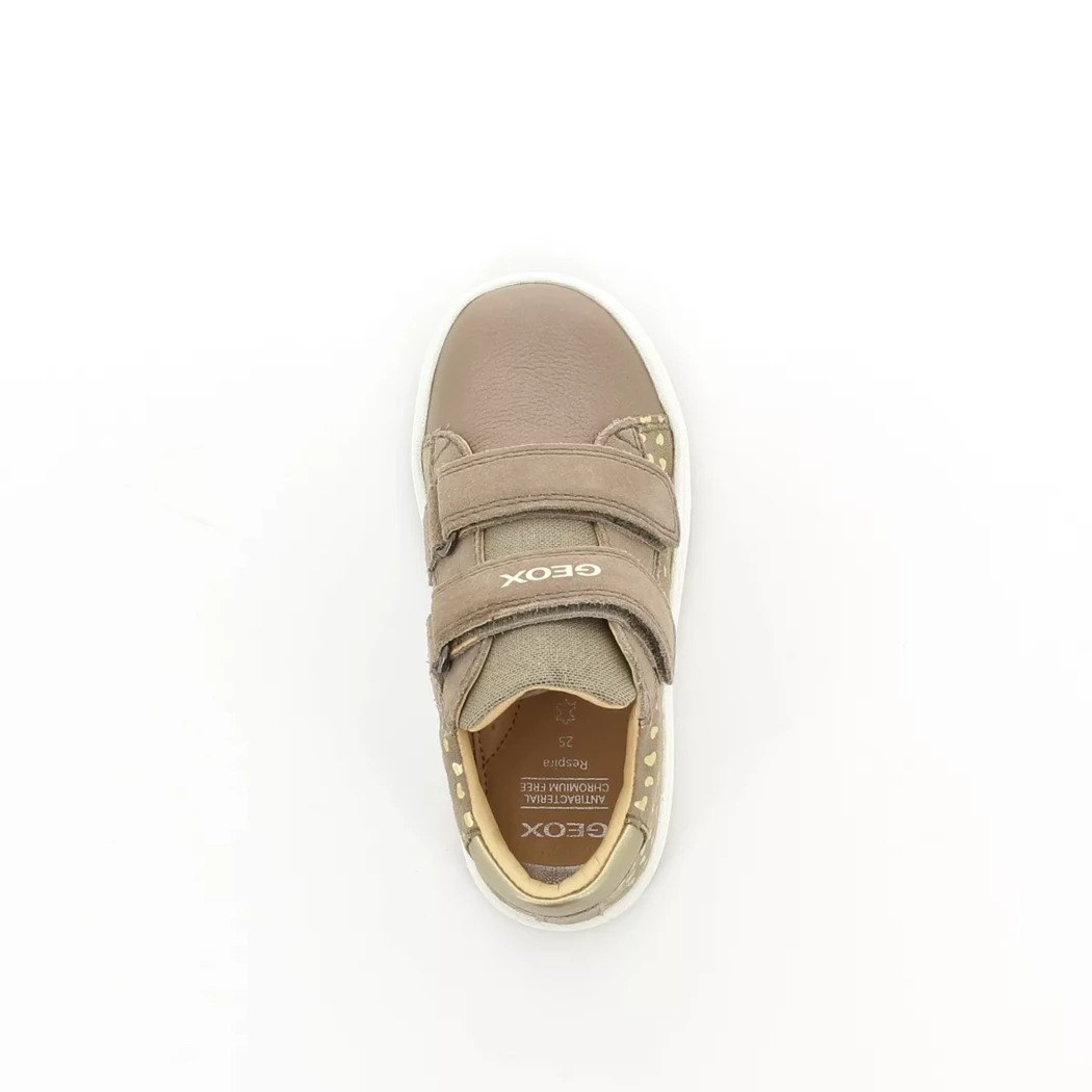 Image (6) de la chaussures Geox - Bottines Taupe en Cuir nubuck Image (6) de la chaussures Geox - Bottines Taupe en Cuir nubuck