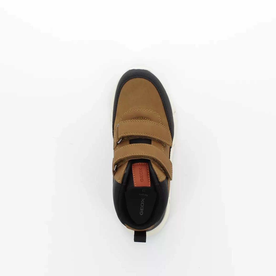 Image (6) de la chaussures Geox - Bottines Cuir naturel / Cognac en Cuir synthétique