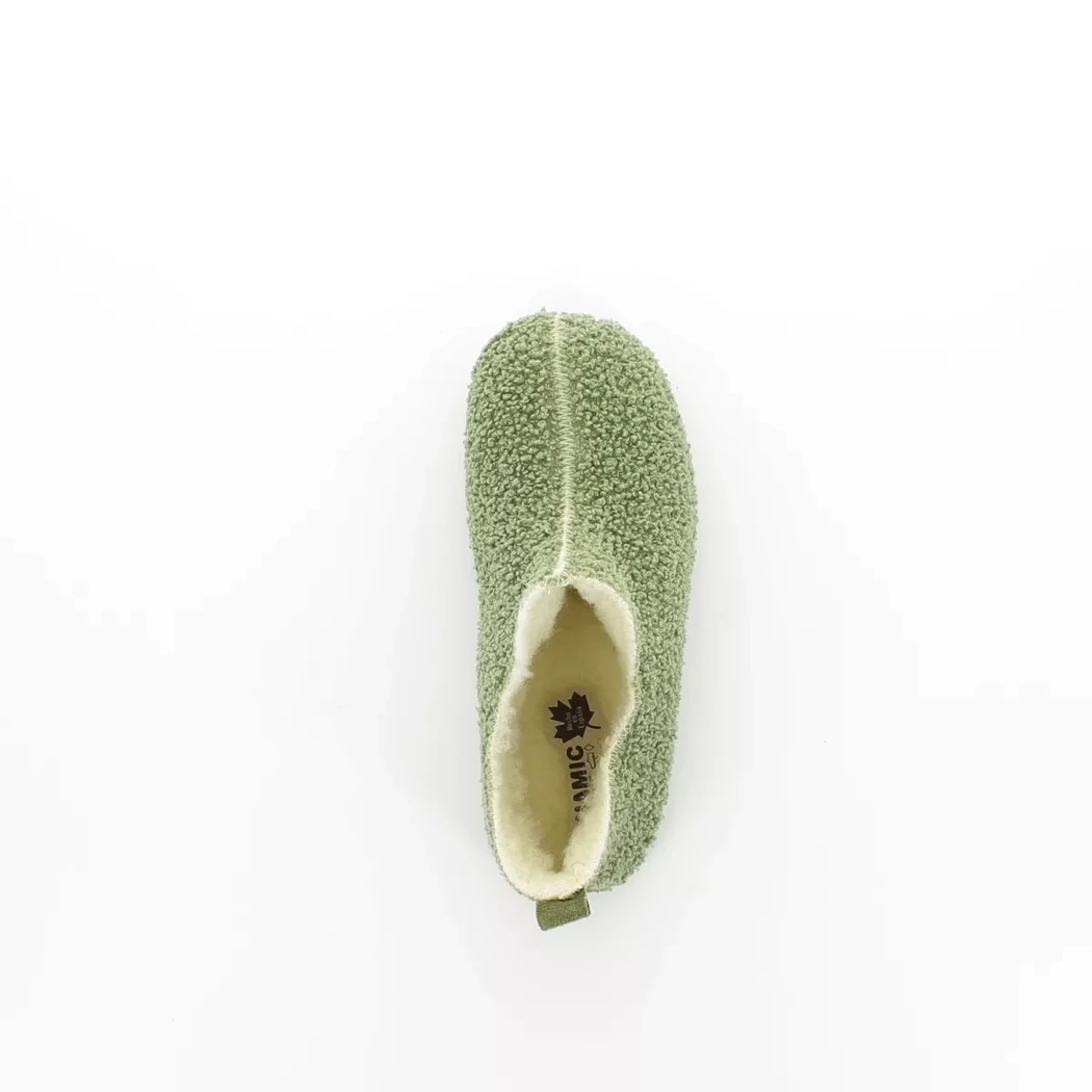 Image (6) de la chaussures Alter Native - Pantoufles et Chaussons Vert en Textile
