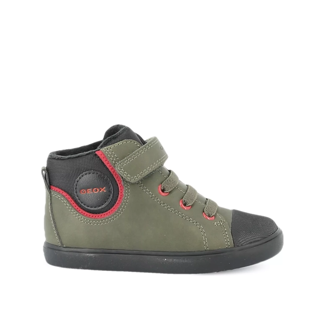 Image (2) de la chaussures Geox - Bottines Vert en Cuir synthétique