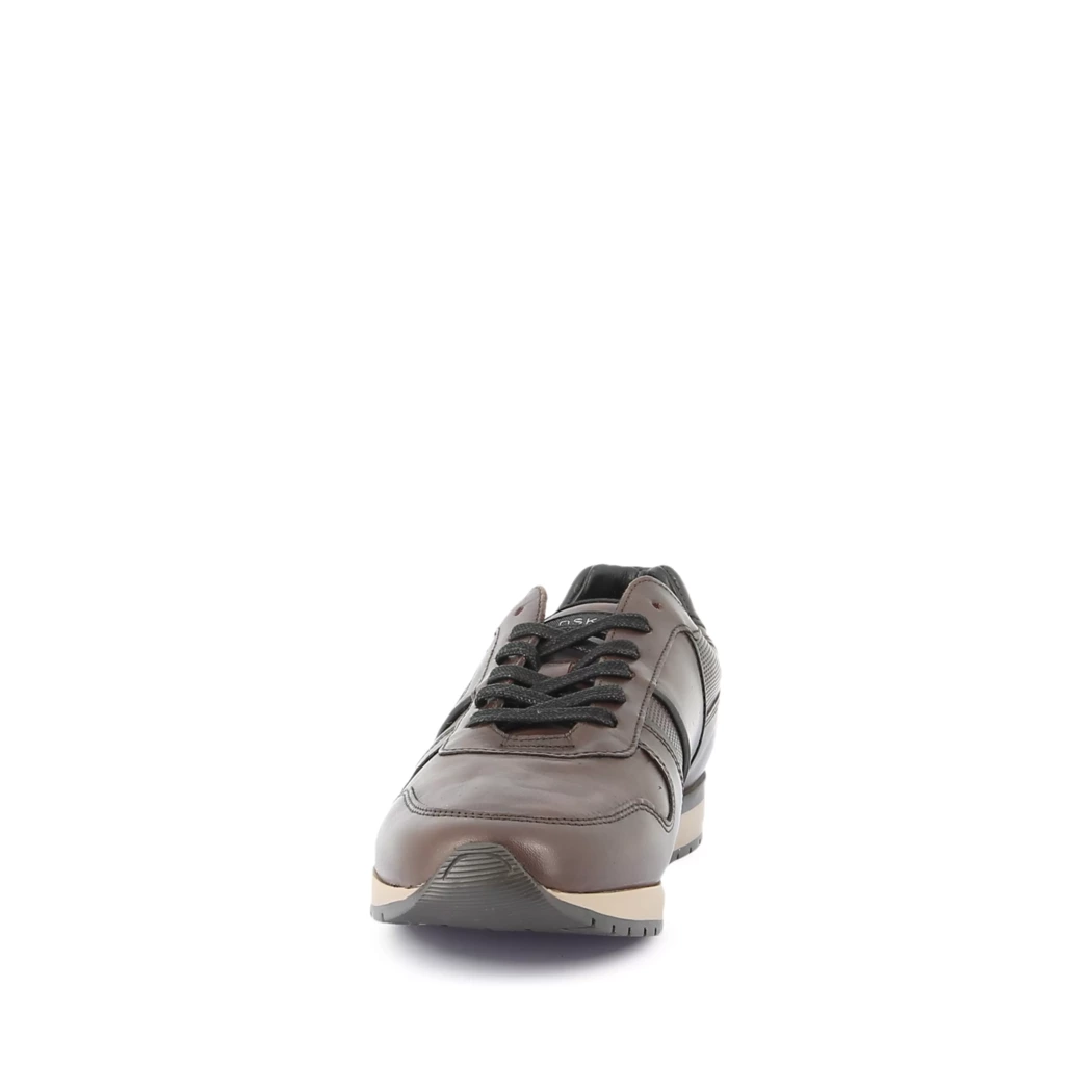 Image (5) de la chaussures Redskins - Baskets Marron en Cuir