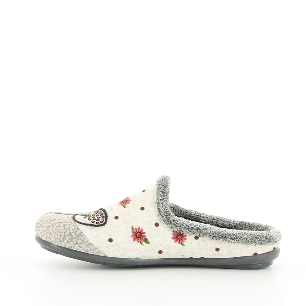 Image (4) de la chaussures Alter Native - Pantoufles et Chaussons Gris en Textile