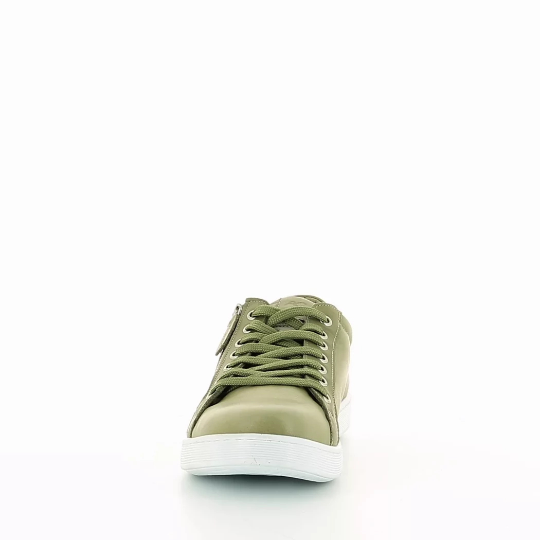 Image (5) de la chaussures Andrea Conti - Baskets Vert en Cuir
