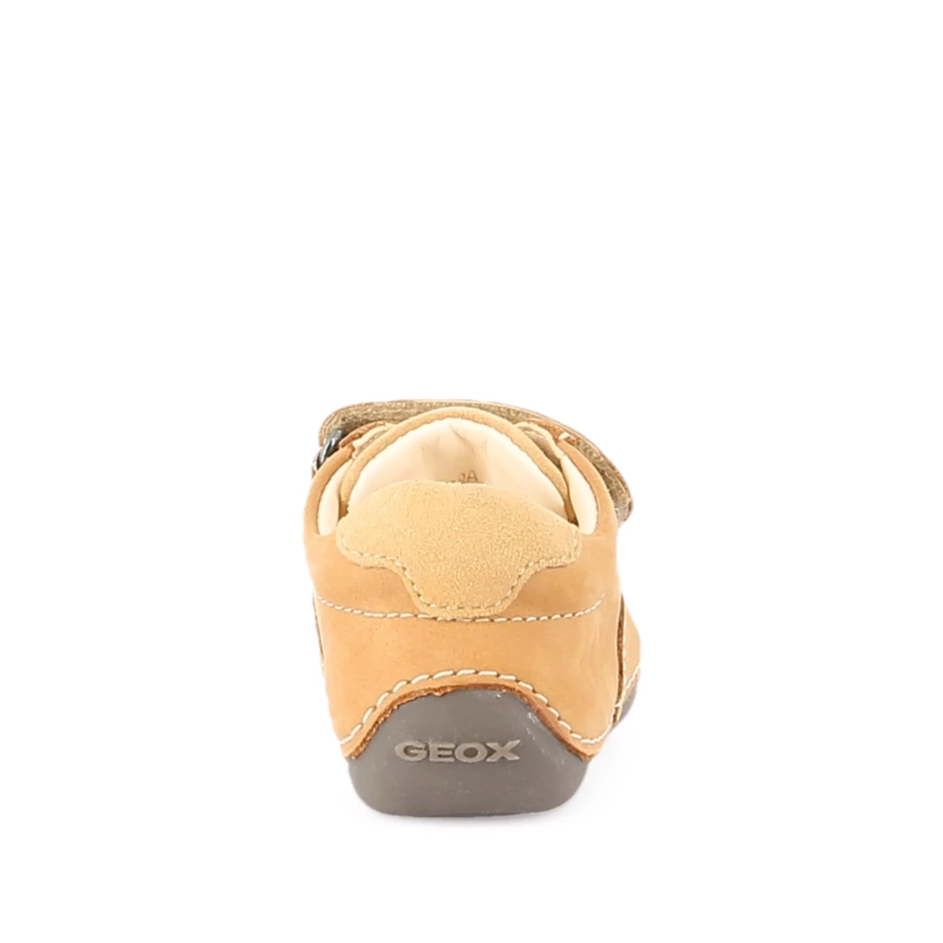Image (3) de la chaussures Geox - Bottines Cuir naturel / Cognac en Cuir nubuck