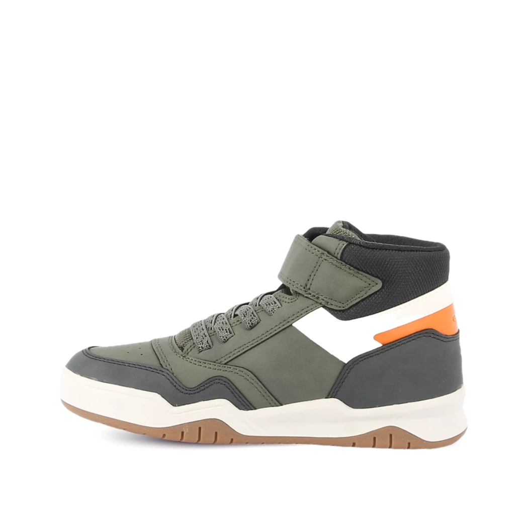 Image (4) de la chaussures Geox - Bottines Vert en Cuir synthétique