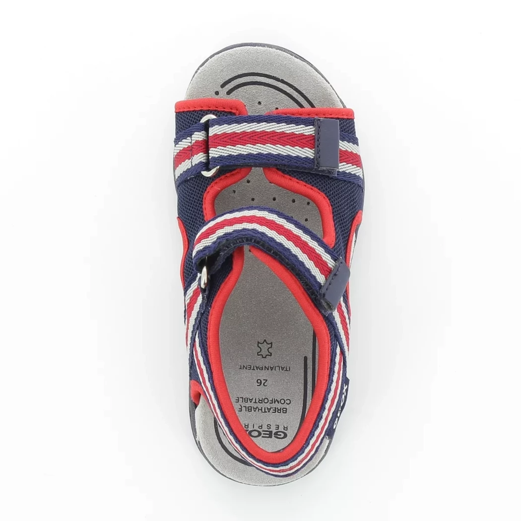 Image (6) de la chaussures Geox - Sandales et Nu-Pieds Bleu en Nylon